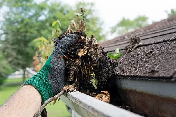 Installed white gutter above leafy shrub in Houston residential property